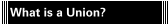 What is a Union?
